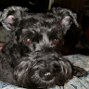 Meet your Posher, Christine